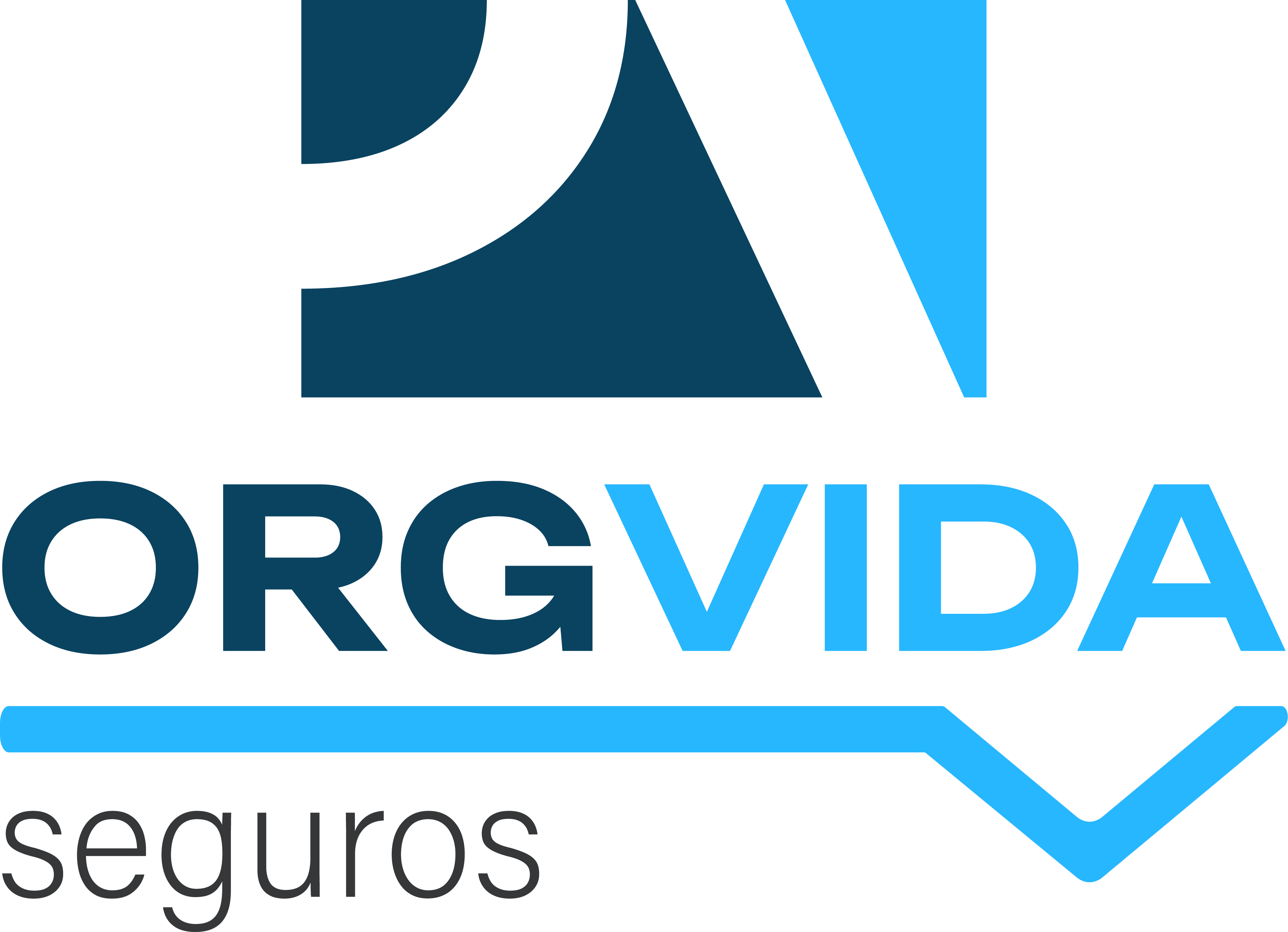 Logo Organización Vida Logo Organización Vida
